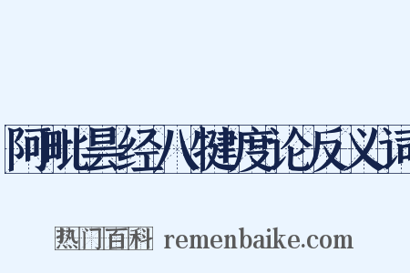 阿毗昙经八犍度论反义词是什么意思的图片